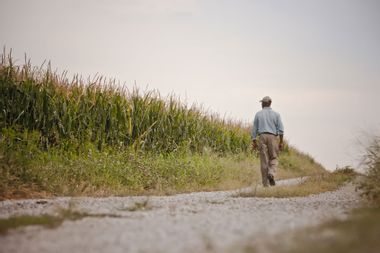 Farmer walking along road by field