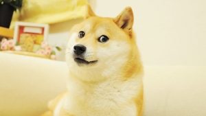 The Doge NFT